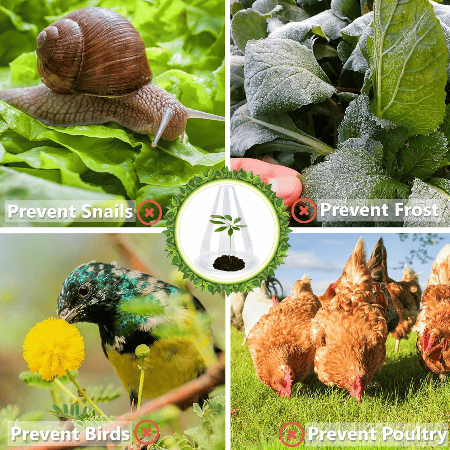 Gardening Greenhouse Plant Covers - Reusable, Light-transmitting and Breathable